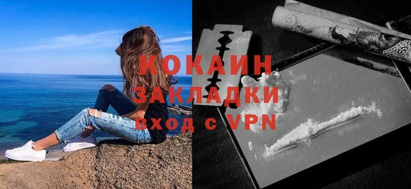 стафф Богородицк